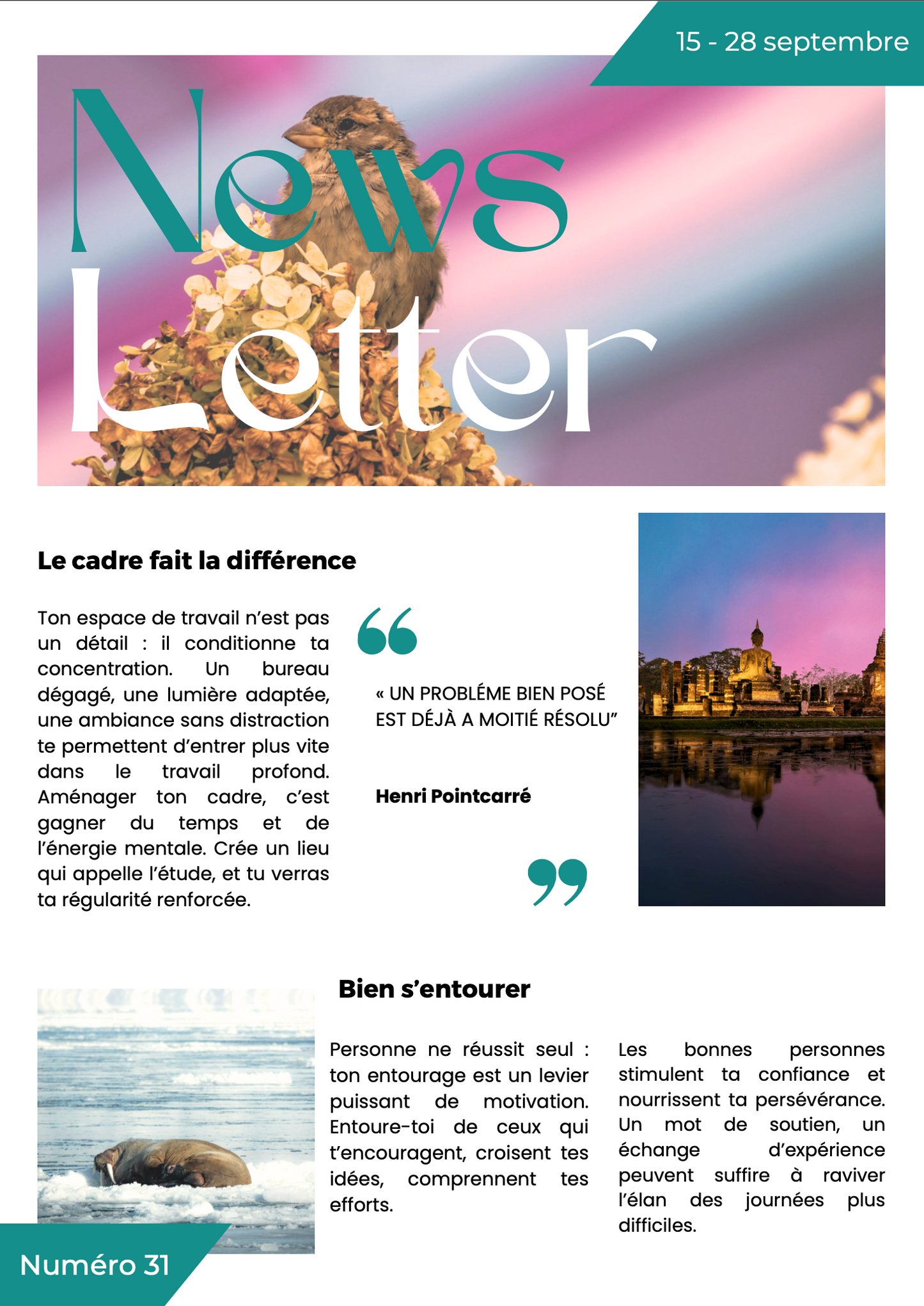 Newsletter #31