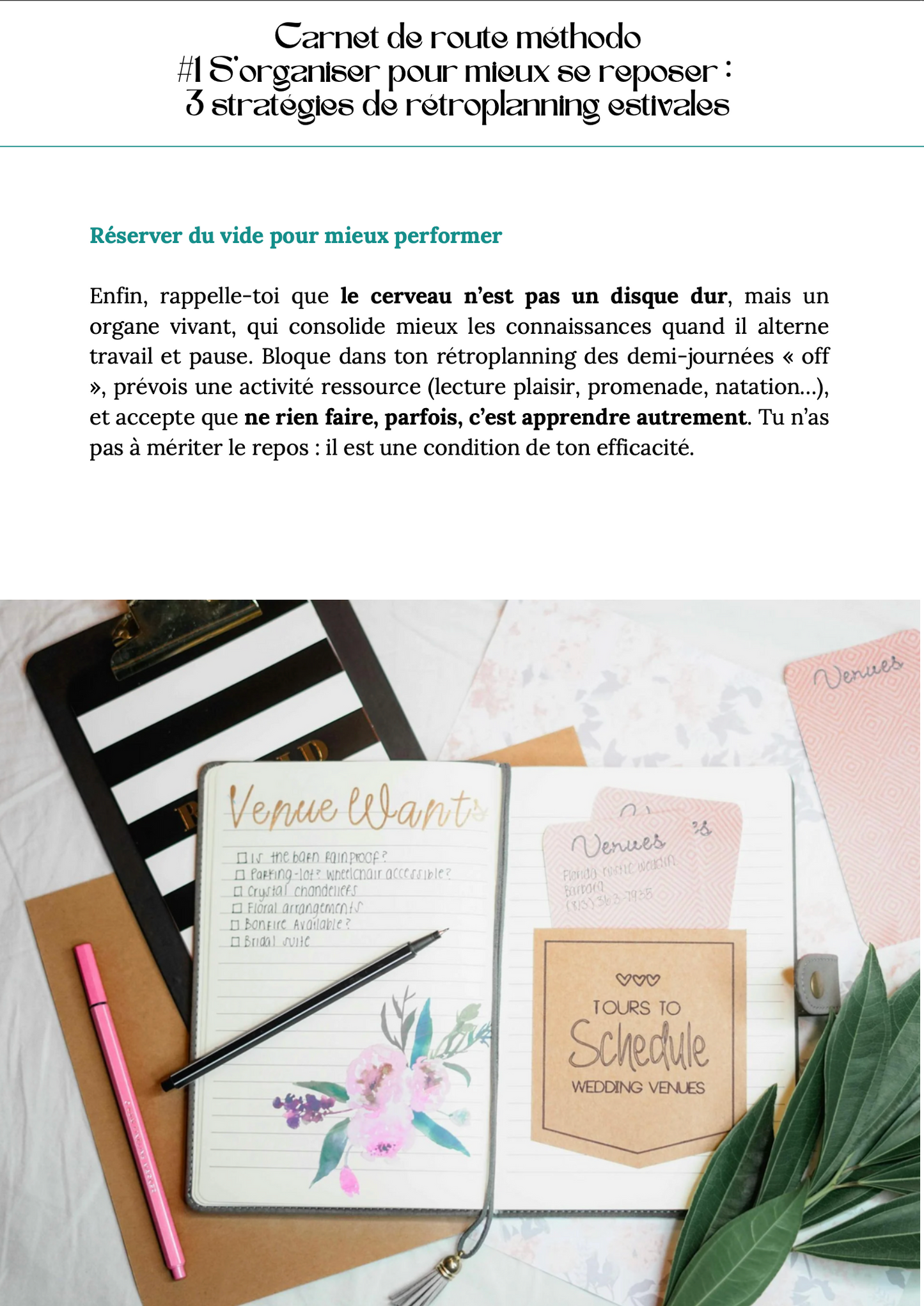 Newsletter #28 Spécial Été